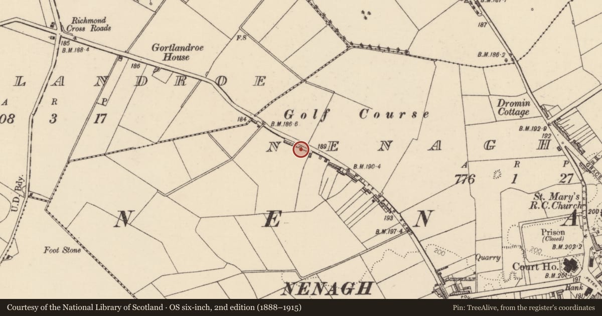 Ordnance Survey six-inch map, 2nd edition (1888–1915) covering the location of Burial, Nenagh North, County Tipperary North, with a pin at the register's coordinates