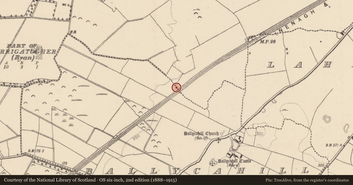 Ordnance Survey six-inch map, 2nd edition (1888–1915) covering the location of Burnt mound, Tullahedy, County Tipperary North, with a pin at the register's coordinates