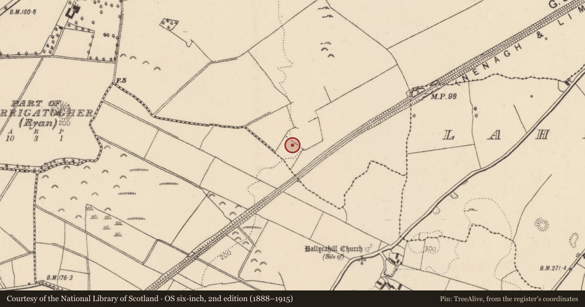 Ordnance Survey six-inch map, 2nd edition (1888–1915) covering the location of Burnt mound, Tullahedy, County Tipperary North, with a pin at the register's coordinates