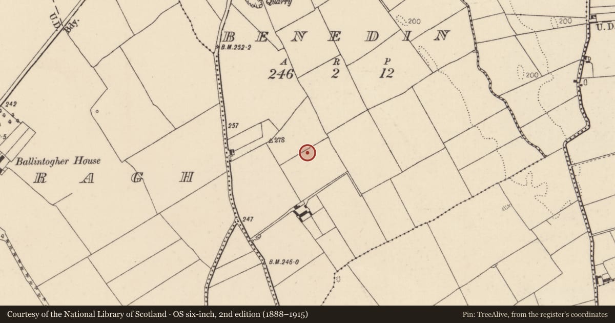Ordnance Survey six-inch map, 2nd edition (1888–1915) covering the location of Burnt pit, Benedin, County Tipperary North, with a pin at the register's coordinates