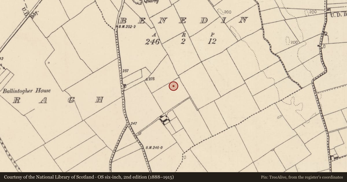Ordnance Survey six-inch map, 2nd edition (1888–1915) covering the location of Hut site, Benedin, County Tipperary North, with a pin at the register's coordinates