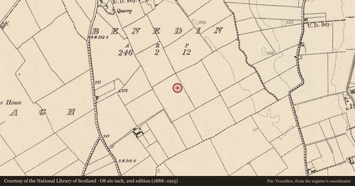 Ordnance Survey six-inch map, 2nd edition (1888–1915) covering the location of Burnt pit, Benedin, County Tipperary North, with a pin at the register's coordinates