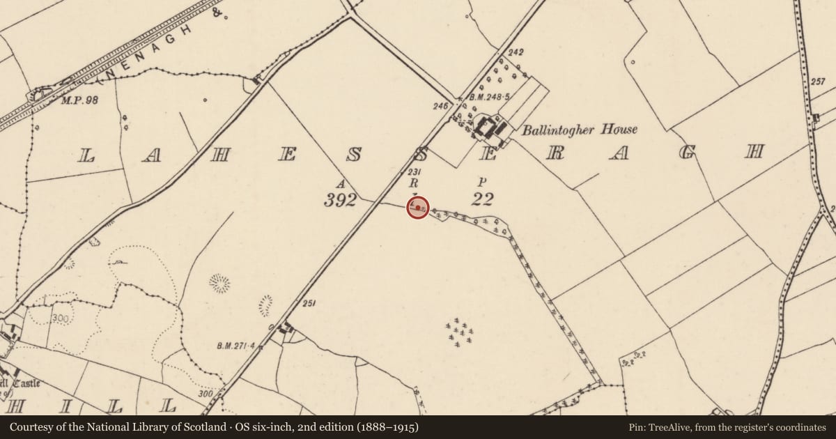 Ordnance Survey six-inch map, 2nd edition (1888–1915) covering the location of Burnt mound, Lahesseragh (Nenagh Par.), County Tipperary North, with a pin at the register's coordinates