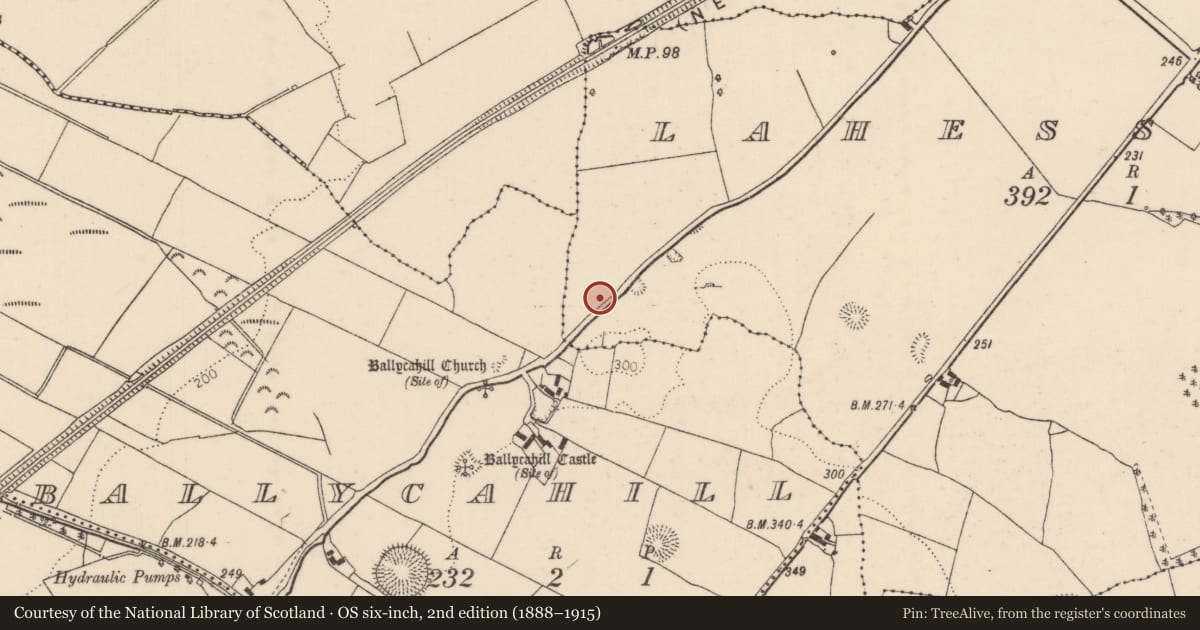 Ordnance Survey six-inch map, 2nd edition (1888–1915) covering the location of House - indeterminate date, Lahesseragh (Nenagh Par.), County Tipperary North, with a pin at the register's coordinates