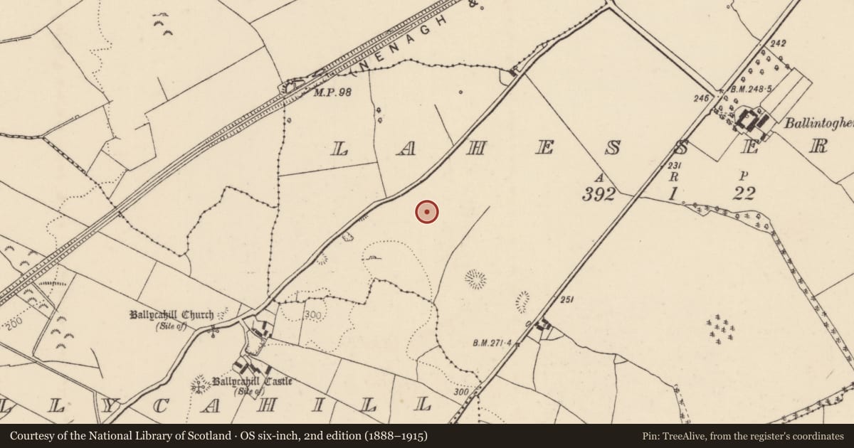 Ordnance Survey six-inch map, 2nd edition (1888–1915) covering the location of Habitation site, Lahesseragh (Nenagh Par.), County Tipperary North, with a pin at the register's coordinates