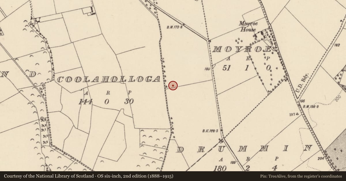 Ordnance Survey six-inch map, 2nd edition (1888–1915) covering the location of Fulacht fia, Drummin, County Tipperary North, with a pin at the register's coordinates