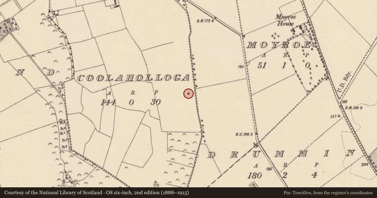 Ordnance Survey six-inch map, 2nd edition (1888–1915) covering the location of Fulacht fia, Coolaholloga, County Tipperary North, with a pin at the register's coordinates