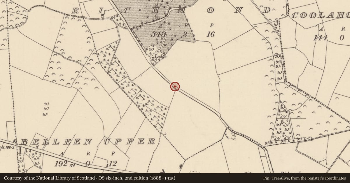 Ordnance Survey six-inch map, 2nd edition (1888–1915) covering the location of Fulacht fia, Richmond, County Tipperary North, with a pin at the register's coordinates