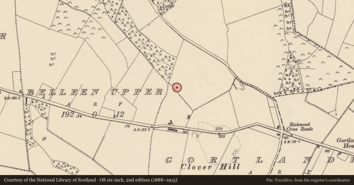 Ordnance Survey six-inch map, 2nd edition (1888–1915) covering the location of Fulacht fia, Richmond, County Tipperary North, with a pin at the register's coordinates