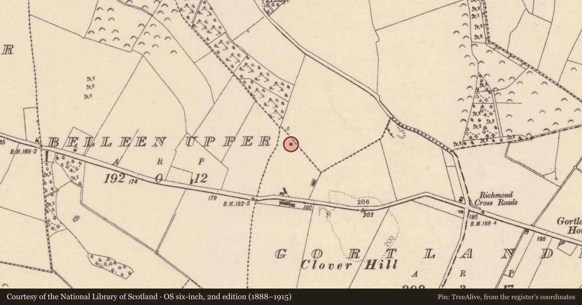 Ordnance Survey six-inch map, 2nd edition (1888–1915) covering the location of Fulacht fia, Gortlandroe, County Tipperary North, with a pin at the register's coordinates