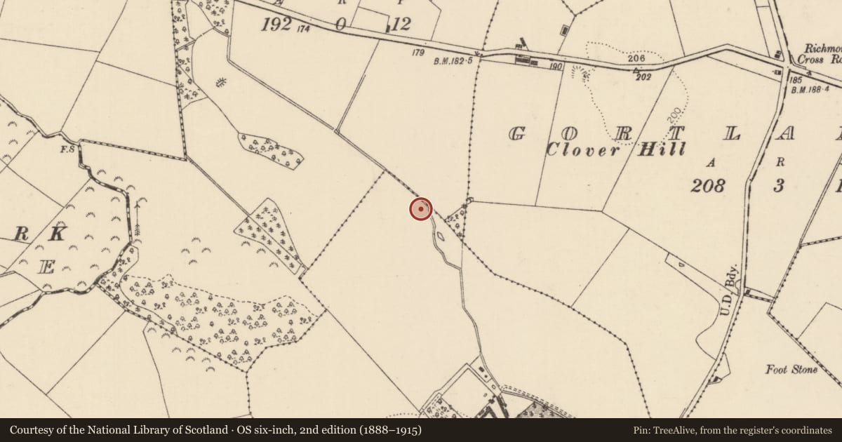 Ordnance Survey six-inch map, 2nd edition (1888–1915) covering the location of Fulacht fia, Solsborough, County Tipperary North, with a pin at the register's coordinates