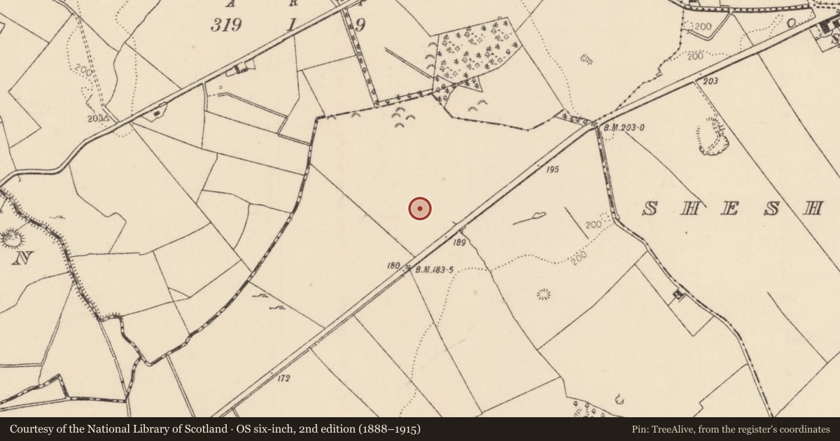 Ordnance Survey six-inch map, 2nd edition (1888–1915) covering the location of Fulacht fia, Tullahedy, County Tipperary North, with a pin at the register's coordinates
