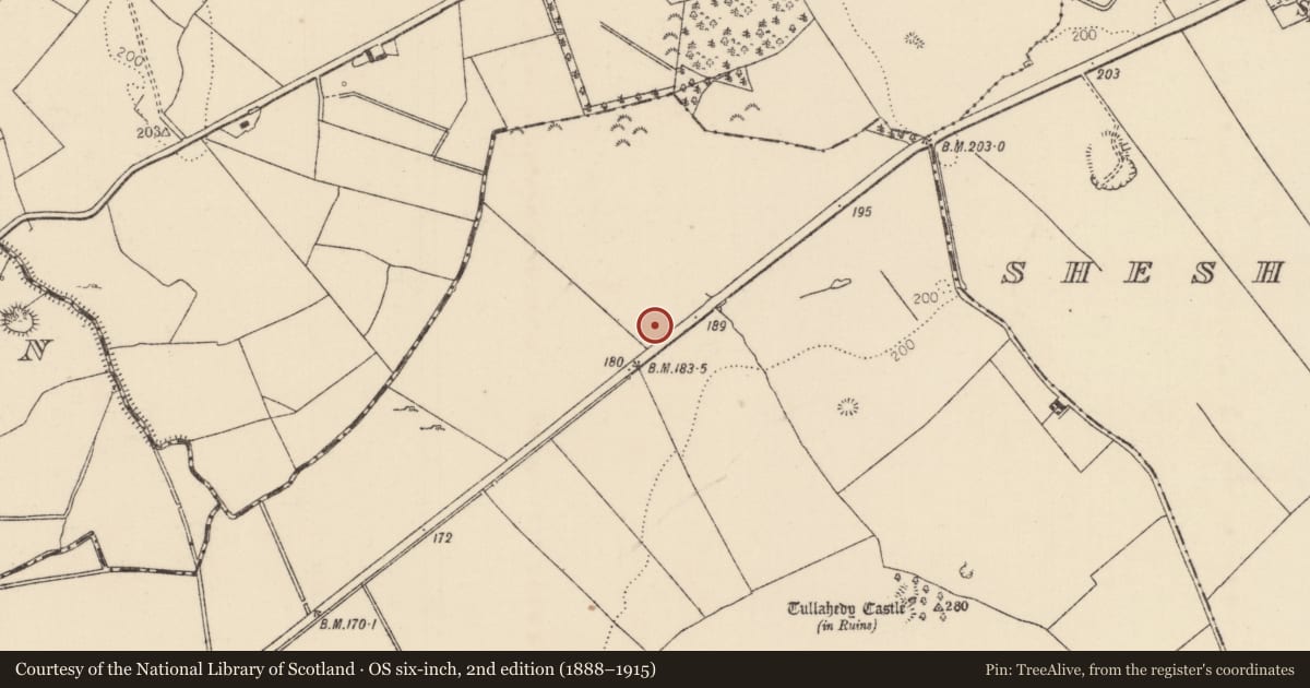 Ordnance Survey six-inch map, 2nd edition (1888–1915) covering the location of Fulacht fia, Tullahedy, County Tipperary North, with a pin at the register's coordinates