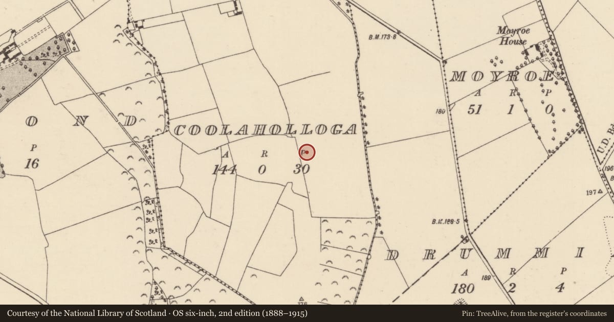 Ordnance Survey six-inch map, 2nd edition (1888–1915) covering the location of Enclosure, Coolaholloga, County Tipperary North, with a pin at the register's coordinates