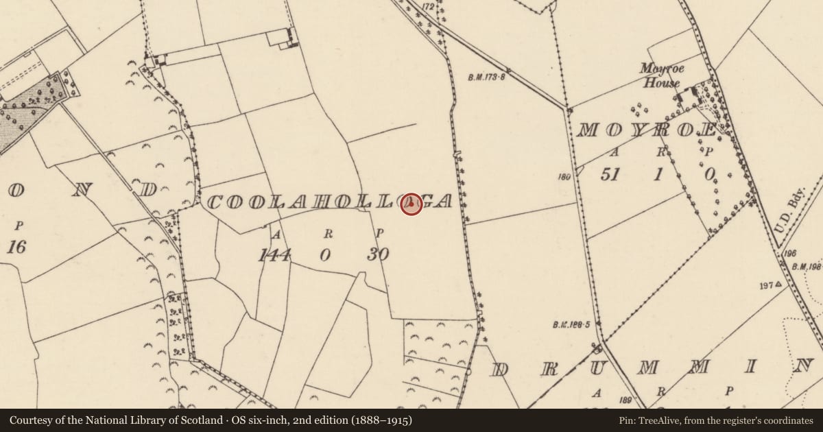 Ordnance Survey six-inch map, 2nd edition (1888–1915) covering the location of Enclosure, Coolaholloga, County Tipperary North, with a pin at the register's coordinates