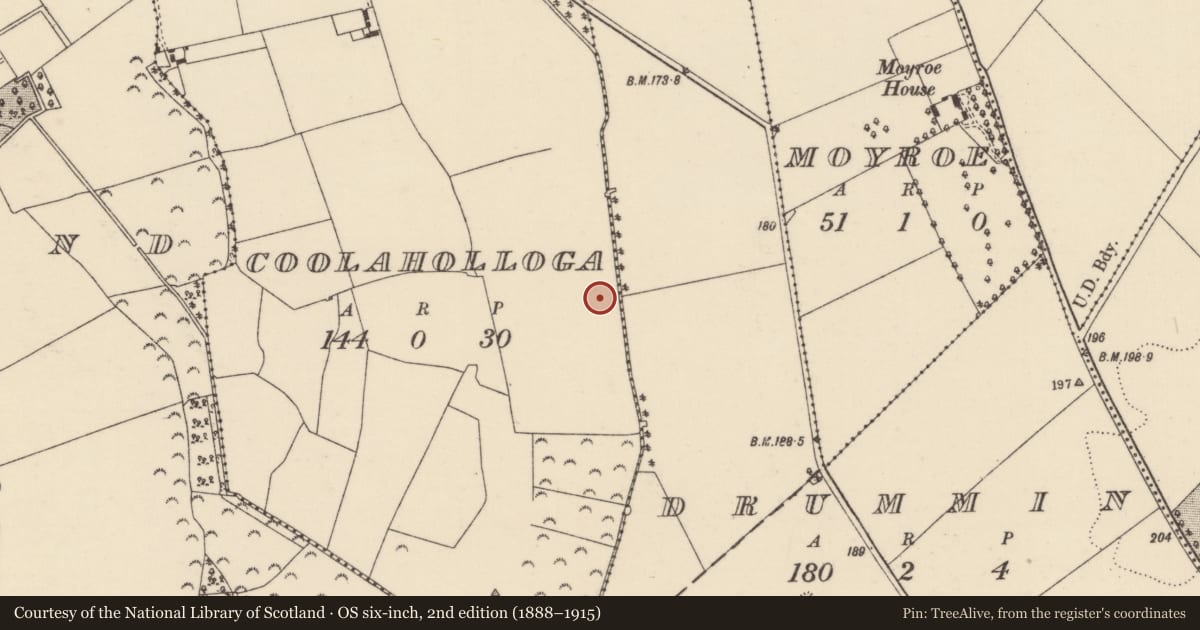 Ordnance Survey six-inch map, 2nd edition (1888–1915) covering the location of Fulacht fia, Coolaholloga, County Tipperary North, with a pin at the register's coordinates