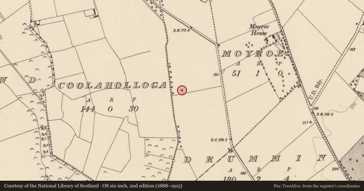 Ordnance Survey six-inch map, 2nd edition (1888–1915) covering the location of Fulacht fia, Drummin, County Tipperary North, with a pin at the register's coordinates