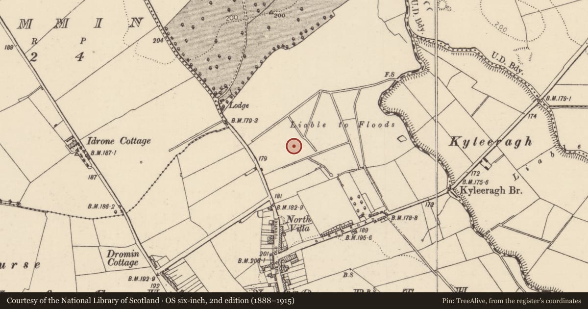 Ordnance Survey six-inch map, 2nd edition (1888–1915) covering the location of Excavation - miscellaneous, Nenagh North, County Tipperary North, with a pin at the register's coordinates
