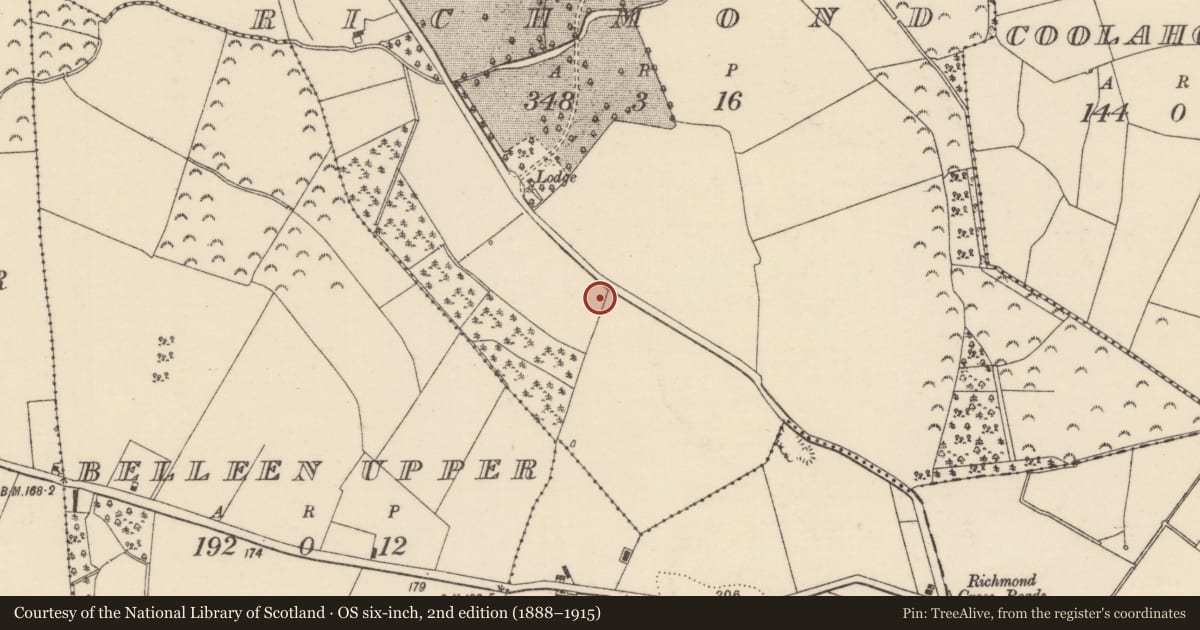 Ordnance Survey six-inch map, 2nd edition (1888–1915) covering the location of Kiln, Richmond, County Tipperary North, with a pin at the register's coordinates