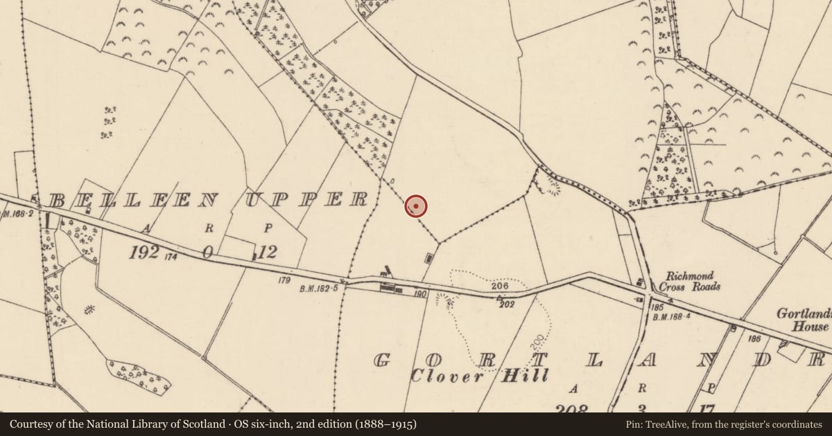 Ordnance Survey six-inch map, 2nd edition (1888–1915) covering the location of Fulacht fia, Richmond, County Tipperary North, with a pin at the register's coordinates