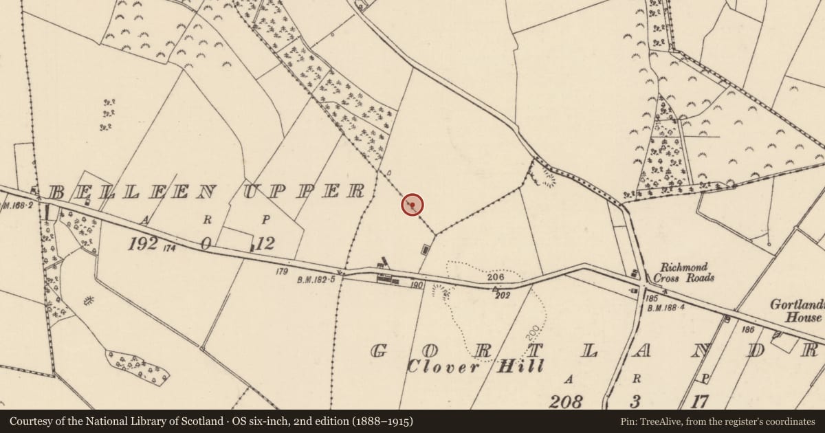 Ordnance Survey six-inch map, 2nd edition (1888–1915) covering the location of Fulacht fia, Richmond, County Tipperary North, with a pin at the register's coordinates
