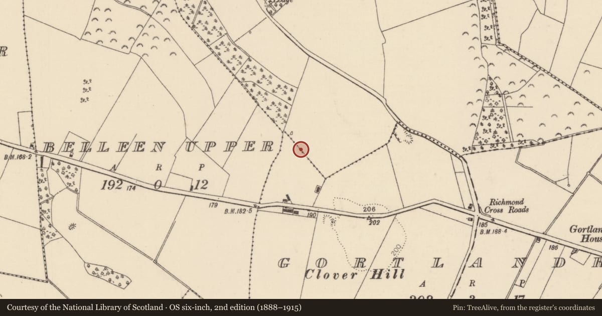 Ordnance Survey six-inch map, 2nd edition (1888–1915) covering the location of Fulacht fia, Richmond, County Tipperary North, with a pin at the register's coordinates