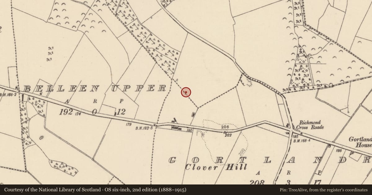 Ordnance Survey six-inch map, 2nd edition (1888–1915) covering the location of Fulacht fia, Richmond, County Tipperary North, with a pin at the register's coordinates