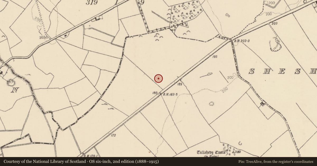 Ordnance Survey six-inch map, 2nd edition (1888–1915) covering the location of Fulacht fia, Tullahedy, County Tipperary North, with a pin at the register's coordinates