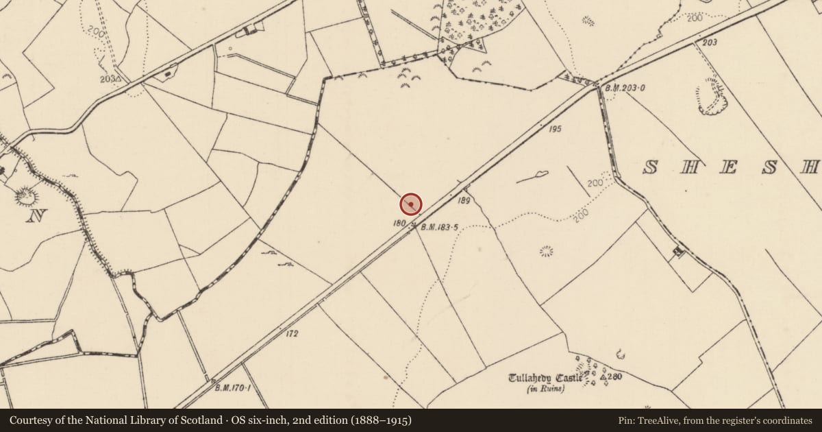 Ordnance Survey six-inch map, 2nd edition (1888–1915) covering the location of Ringfort - rath, Tullahedy, County Tipperary North, with a pin at the register's coordinates