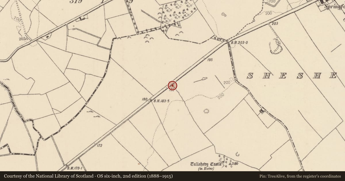 Ordnance Survey six-inch map, 2nd edition (1888–1915) covering the location of Enclosure, Tullahedy, County Tipperary North, with a pin at the register's coordinates