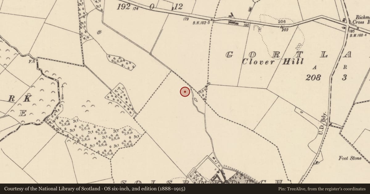 Ordnance Survey six-inch map, 2nd edition (1888–1915) covering the location of Fulacht fia, Solsborough, County Tipperary North, with a pin at the register's coordinates