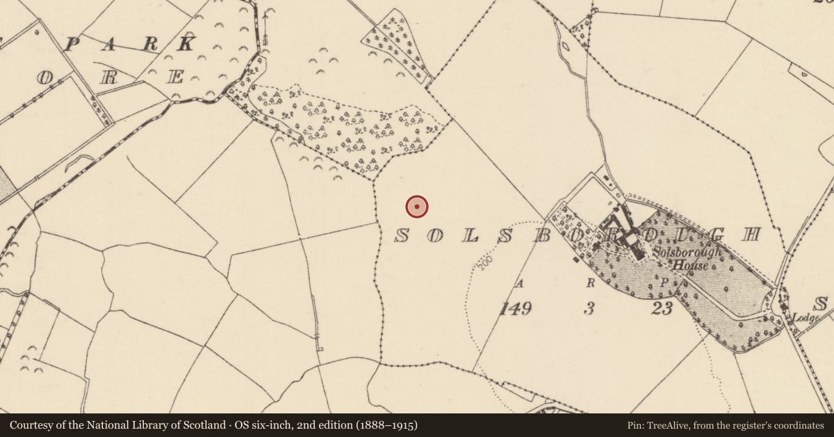Ordnance Survey six-inch map, 2nd edition (1888–1915) covering the location of Settlement deserted - medieval, Solsborough, County Tipperary North, with a pin at the register's coordinates