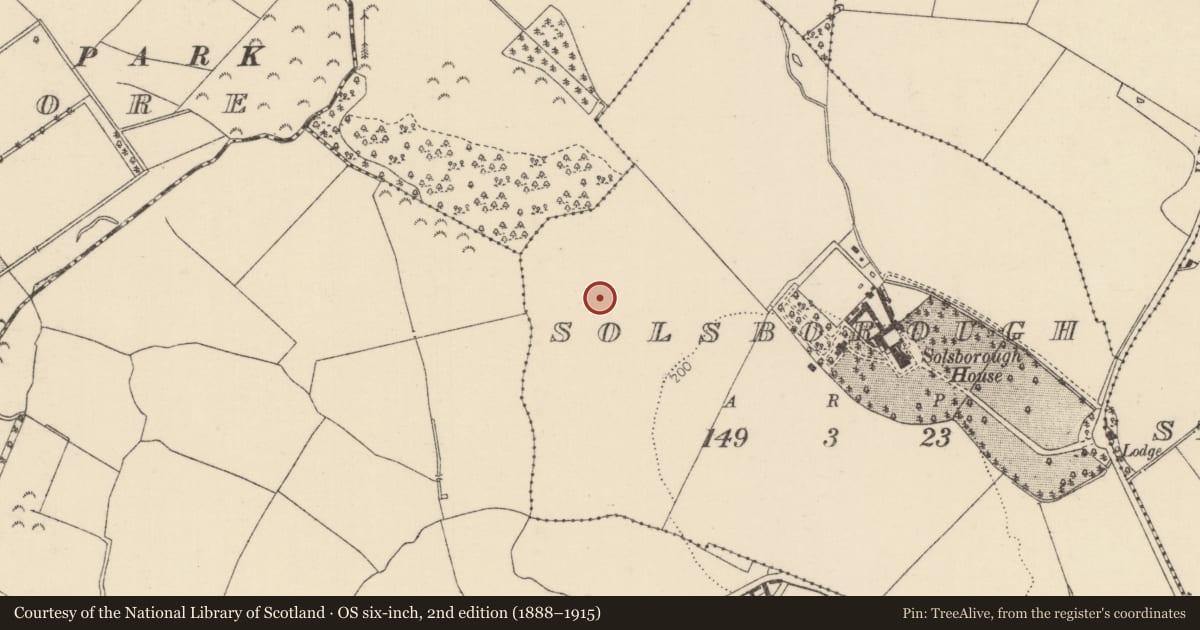 Ordnance Survey six-inch map, 2nd edition (1888–1915) covering the location of Kiln - corn-drying, Solsborough, County Tipperary North, with a pin at the register's coordinates