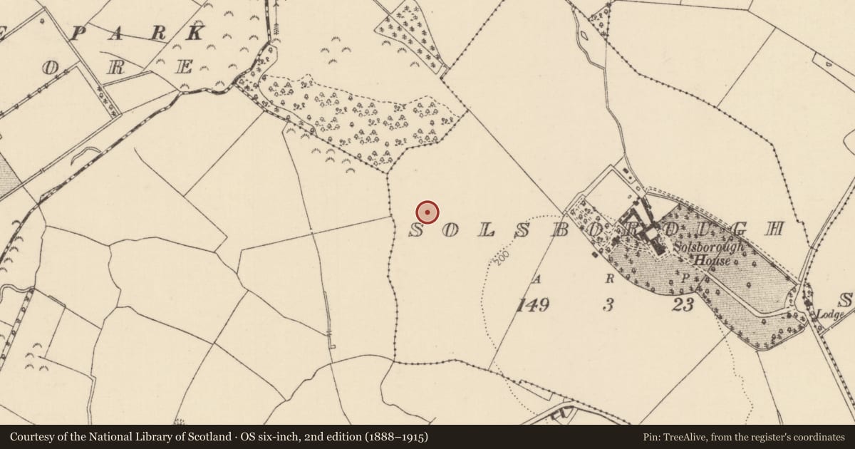 Ordnance Survey six-inch map, 2nd edition (1888–1915) covering the location of Kiln - corn-drying, Solsborough, County Tipperary North, with a pin at the register's coordinates