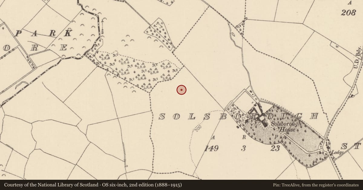 Ordnance Survey six-inch map, 2nd edition (1888–1915) covering the location of Kiln - corn-drying, Solsborough, County Tipperary North, with a pin at the register's coordinates