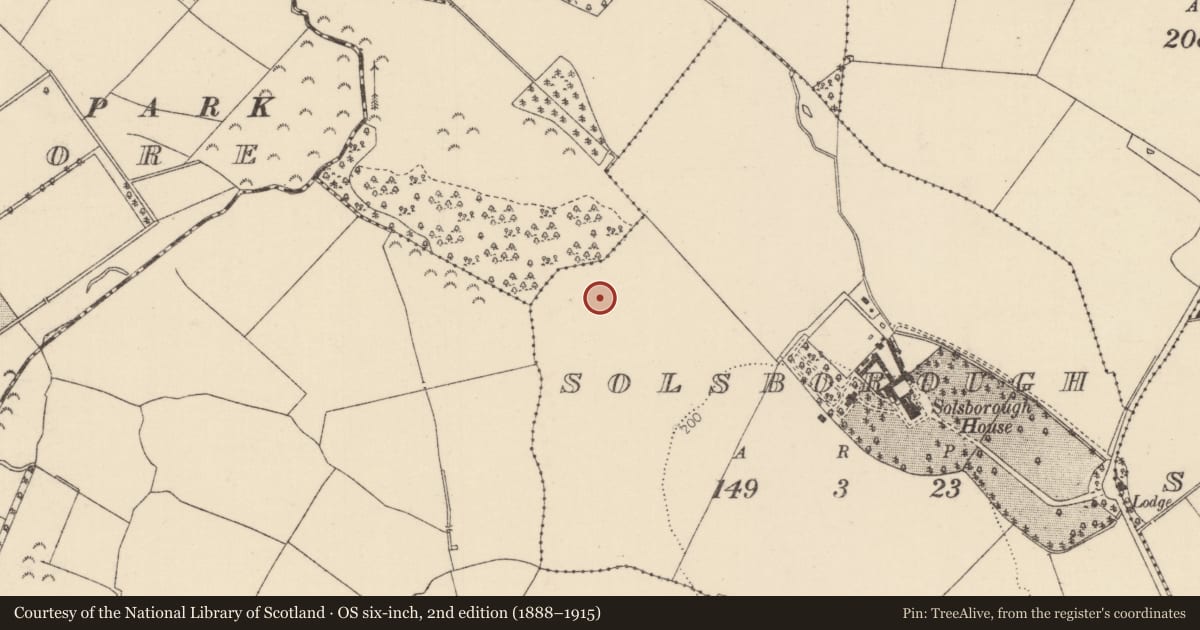 Ordnance Survey six-inch map, 2nd edition (1888–1915) covering the location of Kiln - corn-drying, Solsborough, County Tipperary North, with a pin at the register's coordinates