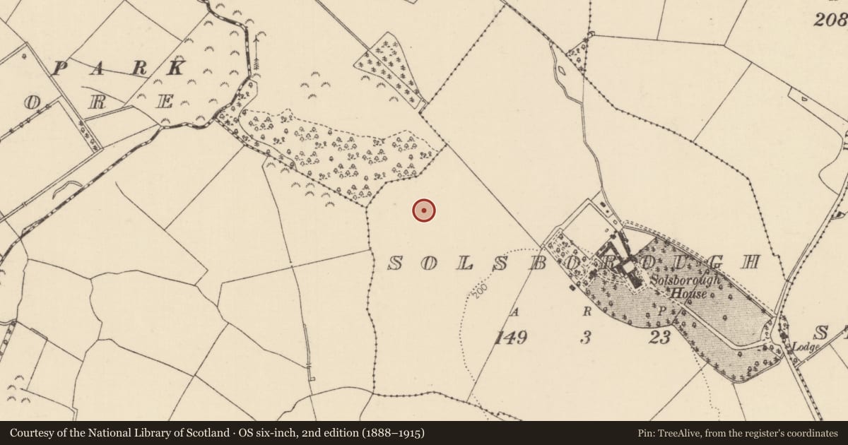 Ordnance Survey six-inch map, 2nd edition (1888–1915) covering the location of Kiln - corn-drying, Solsborough, County Tipperary North, with a pin at the register's coordinates