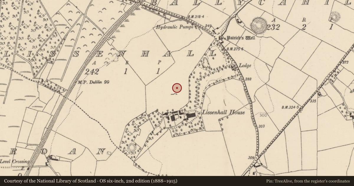Ordnance Survey six-inch map, 2nd edition (1888–1915) covering the location of Bullaun stone, Lissenhall, County Tipperary North, with a pin at the register's coordinates