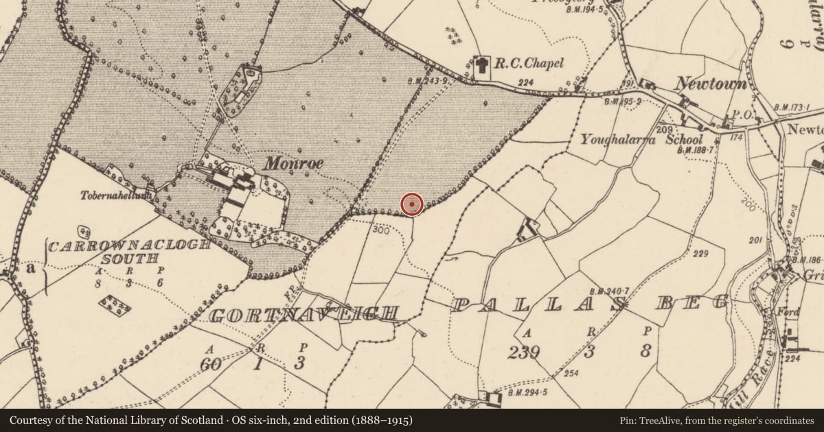 Ordnance Survey six-inch map, 2nd edition (1888–1915) covering the location of Ringfort - rath, Monroe (Youghalarra Par.), County Tipperary North, with a pin at the register's coordinates