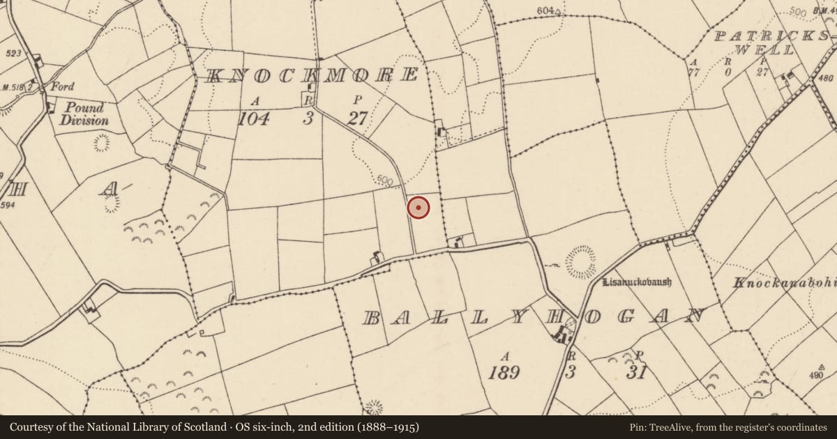 Ordnance Survey six-inch map, 2nd edition (1888–1915) covering the location of Standing stone - pair, Knockmore, County Tipperary North, with a pin at the register's coordinates