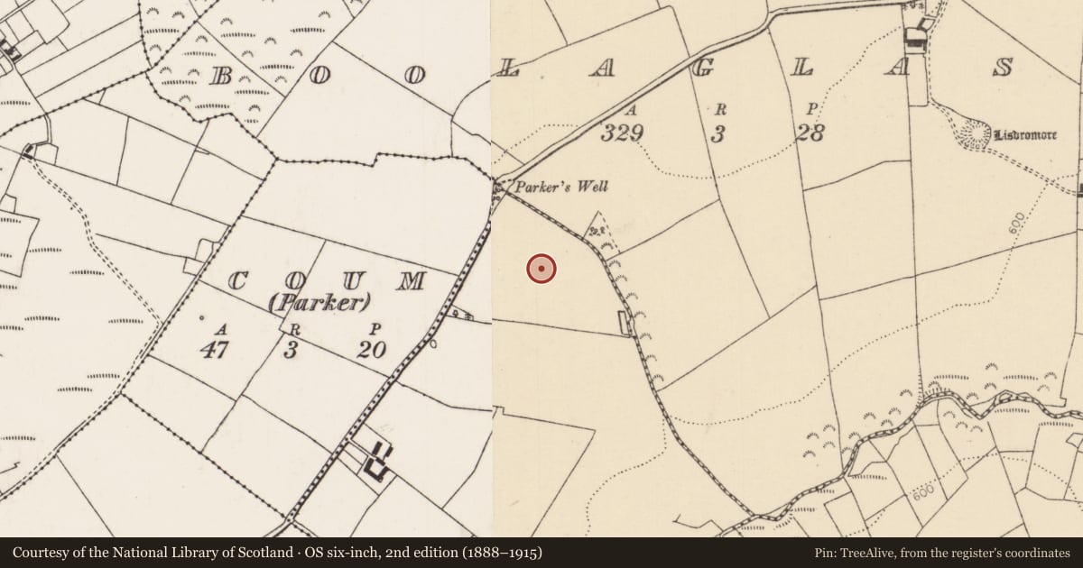 Ordnance Survey six-inch map, 2nd edition (1888–1915) covering the location of Standing stone, Coum (Allen), County Tipperary North, with a pin at the register's coordinates