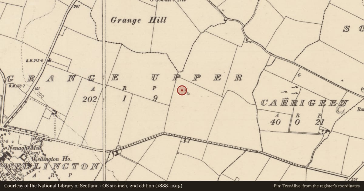 Ordnance Survey six-inch map, 2nd edition (1888–1915) covering the location of Enclosure, Grange Upper, County Tipperary North, with a pin at the register's coordinates