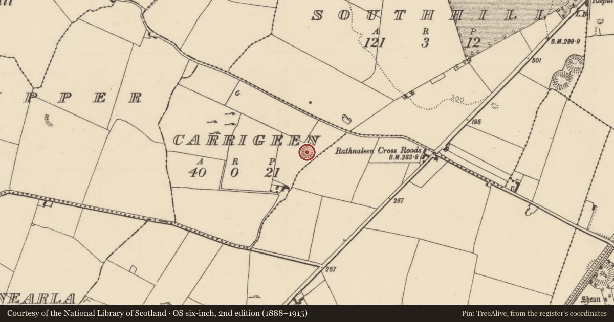 Ordnance Survey six-inch map, 2nd edition (1888–1915) covering the location of Ringfort - rath, Carrigeen (Lisbunny Par.), County Tipperary North, with a pin at the register's coordinates