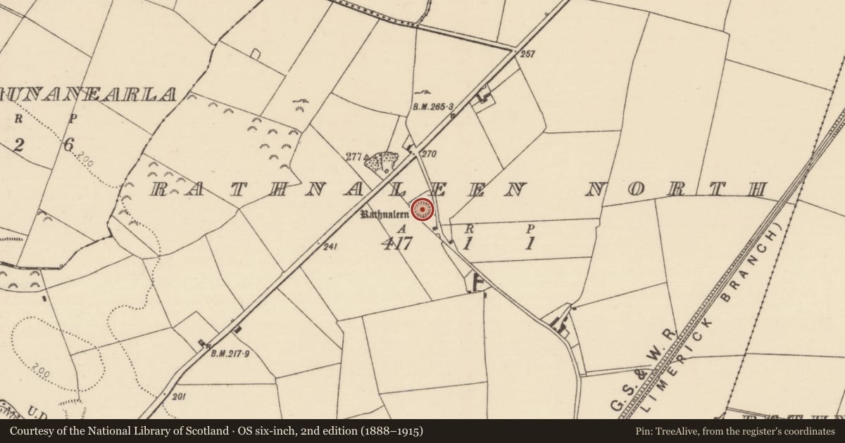 Ordnance Survey six-inch map, 2nd edition (1888–1915) covering the location of Ringfort - rath, Rathnaleen North, County Tipperary North, with a pin at the register's coordinates