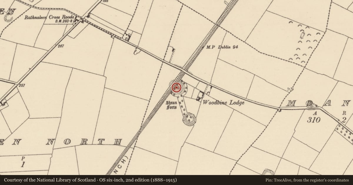 Ordnance Survey six-inch map, 2nd edition (1888–1915) covering the location of Ringfort - rath, Rathnaleen South, County Tipperary North, with a pin at the register's coordinates