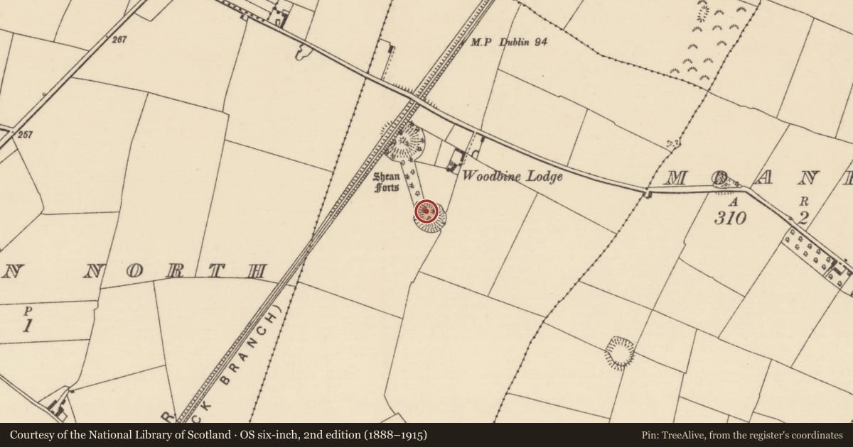 Ordnance Survey six-inch map, 2nd edition (1888–1915) covering the location of Ringfort - rath, Rathnaleen South, County Tipperary North, with a pin at the register's coordinates