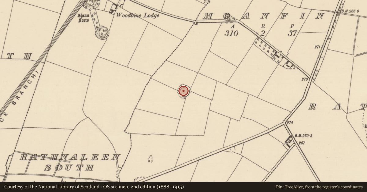 Ordnance Survey six-inch map, 2nd edition (1888–1915) covering the location of Ringfort - rath, Moanfin, County Tipperary North, with a pin at the register's coordinates