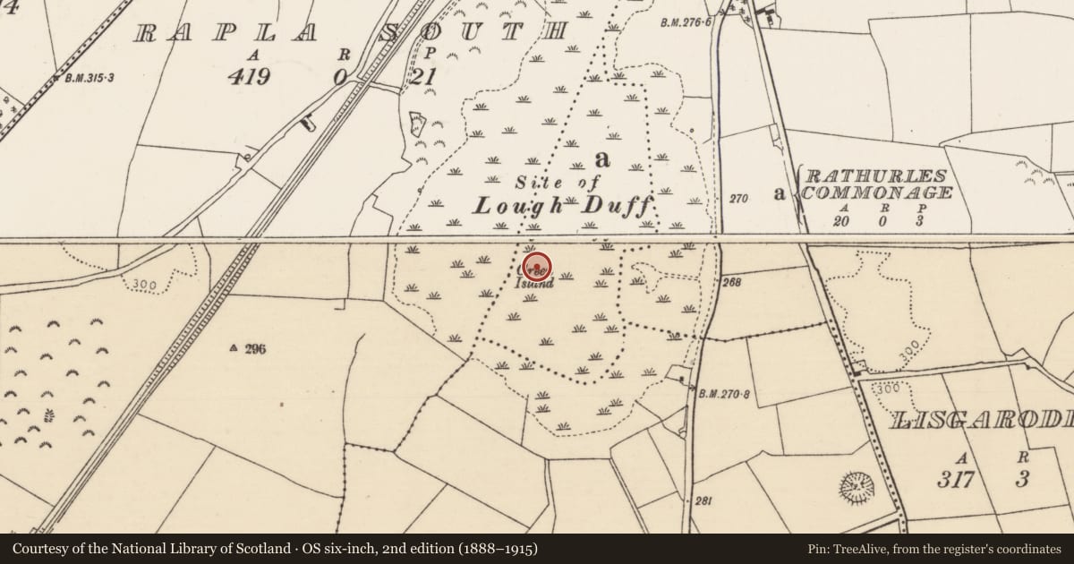 Ordnance Survey six-inch map, 2nd edition (1888–1915) covering the location of Crannog, Rathurles Commonage, County Tipperary North, with a pin at the register's coordinates