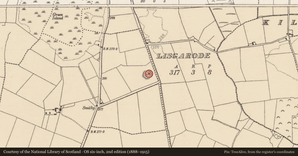 Ordnance Survey six-inch map, 2nd edition (1888–1915) covering the location of Ringfort - rath, Moanfin, County Tipperary North, with a pin at the register's coordinates