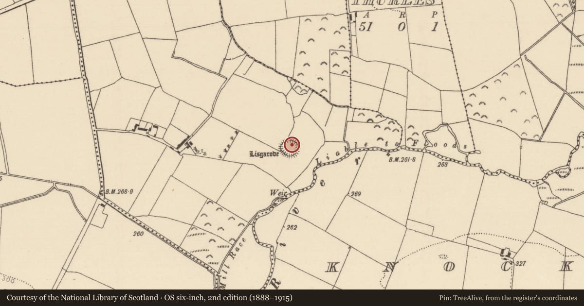 Ordnance Survey six-inch map, 2nd edition (1888–1915) covering the location of Ringfort - rath, Lisgarode, County Tipperary North, with a pin at the register's coordinates